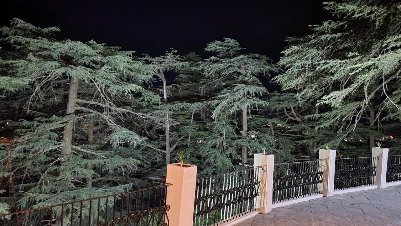 Glen View Heritage Homestay シムラー エクステリア 写真