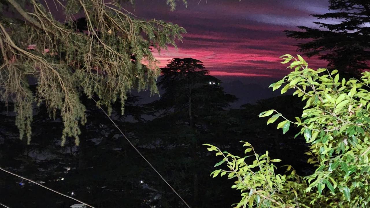 Glen View Heritage Homestay シムラー エクステリア 写真