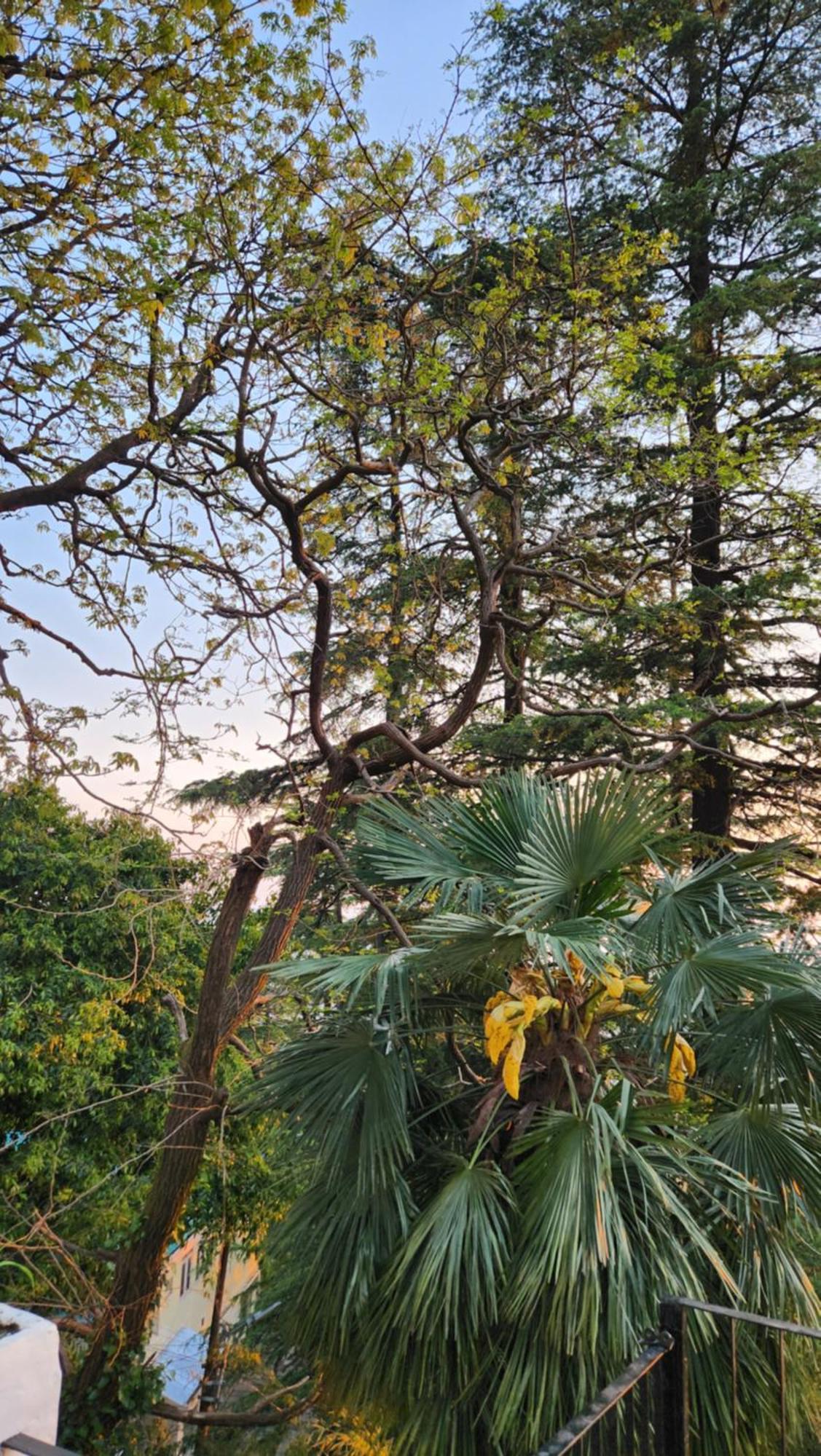 Glen View Heritage Homestay シムラー エクステリア 写真